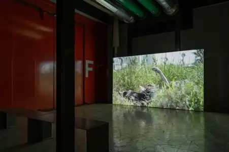 Nicolas Carrier, Marie Ouazzani, Exposition périphérique (2018), installation view, courtesy of the artists 2019